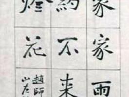 赵子富书法“黄梅时节……“